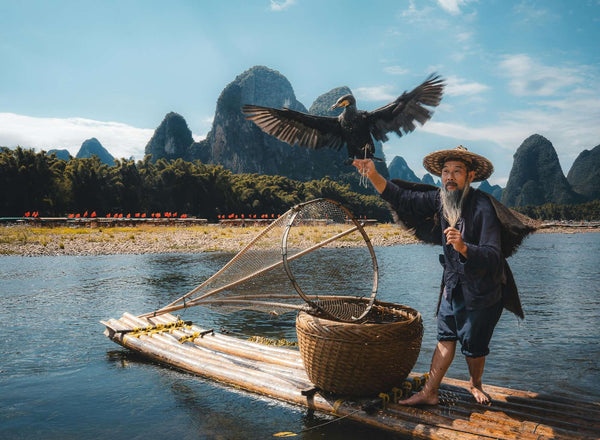 Cormorant fisherman on the Li River, Guilin