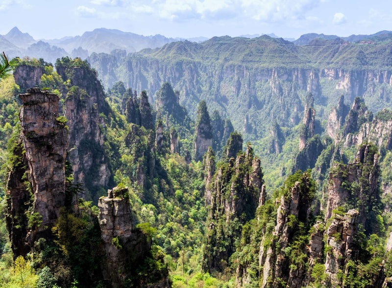 Zhangjiajie sandstone pillar mountains